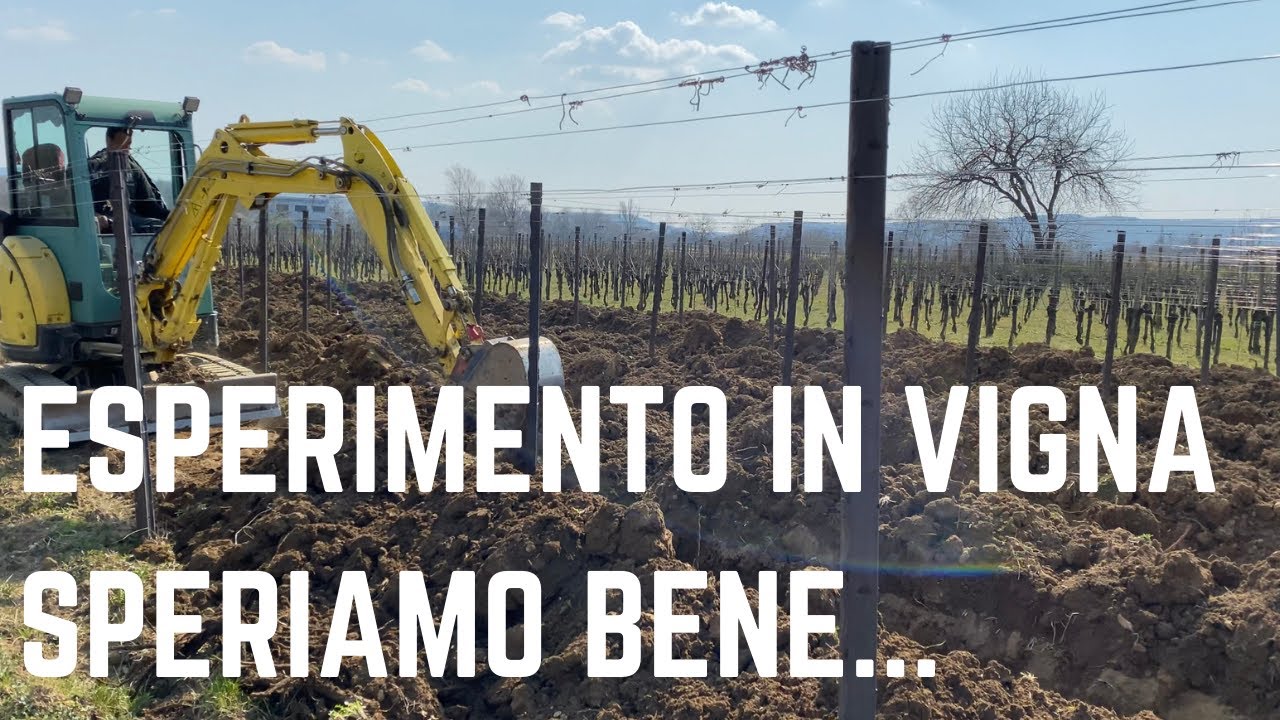 Lavorazione del terreno 