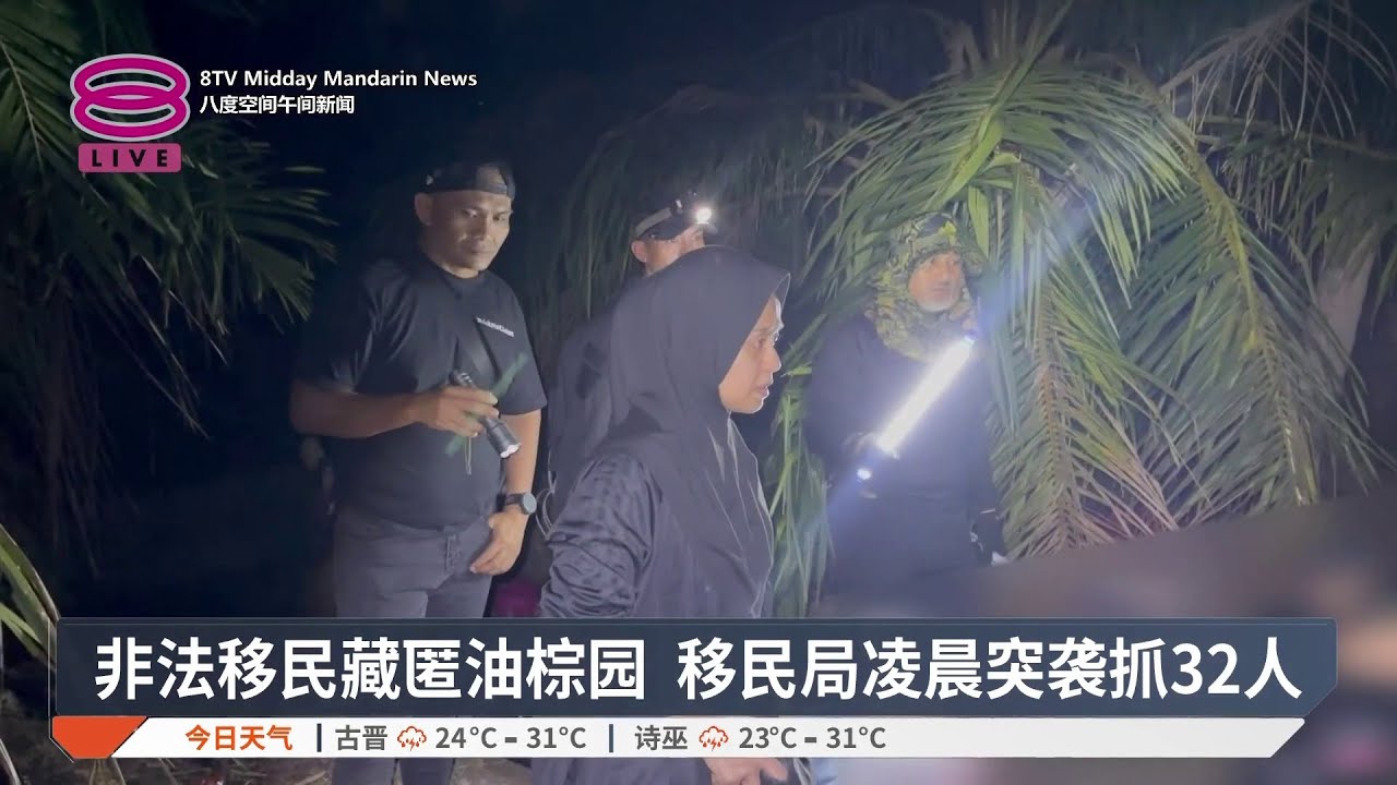 非法移民藏匿油棕园 移民局凌晨突袭抓32人【2026.03.05 八度空间午间新闻】