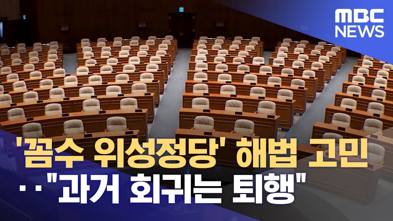 '꼼수 위성정당' 해법 고민‥