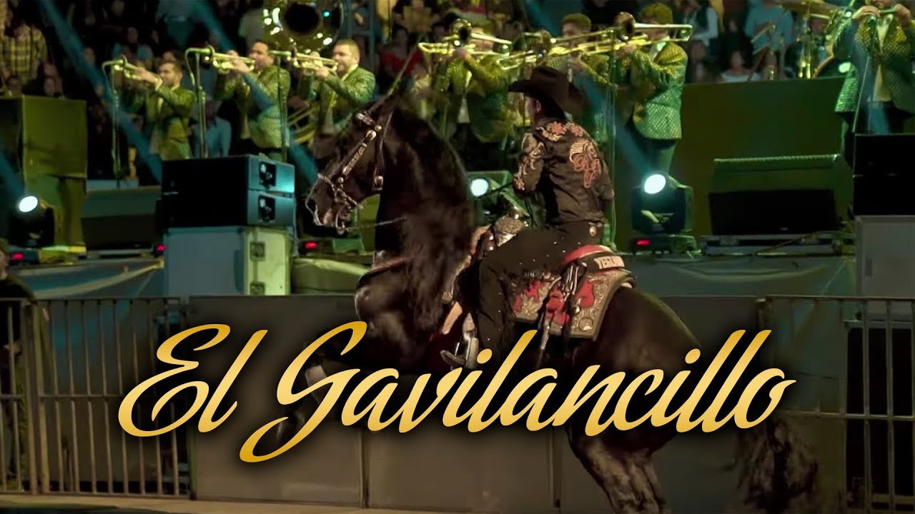 Beto Peña - El Gavilancillo (En Vivo)