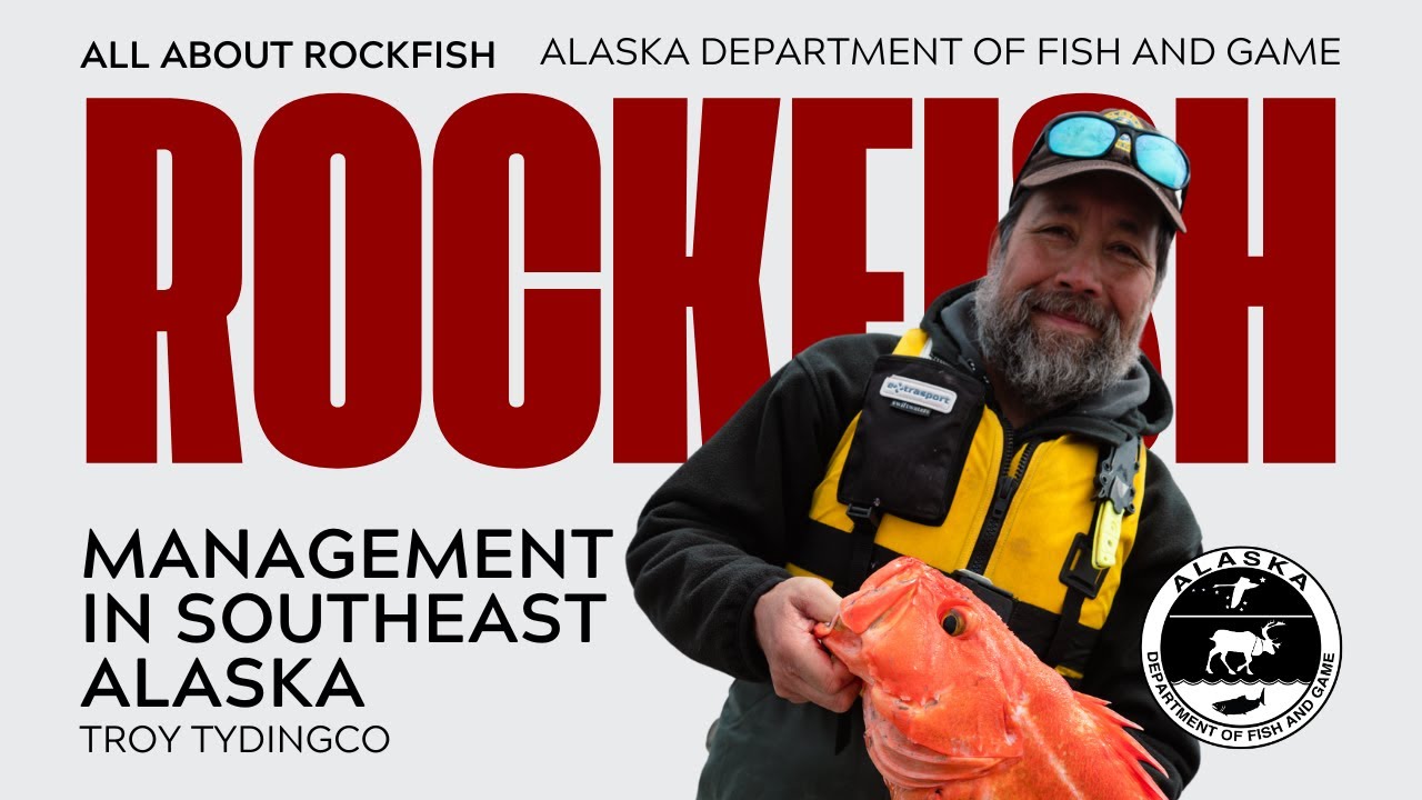 How Are Rockfish Managed in Southeast Alaska?
