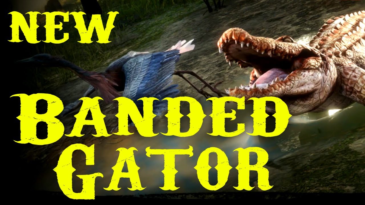 RDR2 Legendary Banded Gator added - New Legendary Animal in Red Dead Online