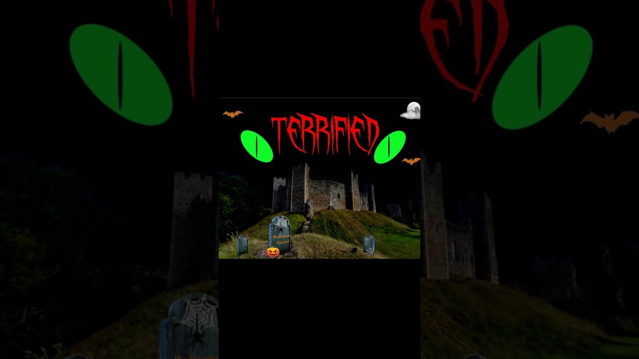 TERRIFIED  #shorts #groovepad @MattyT-Beats