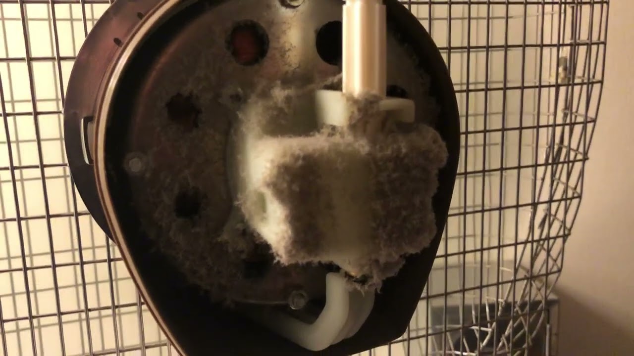 My Xpelair Taurus T16 Oscillating with the motor cover off to try and fix it 