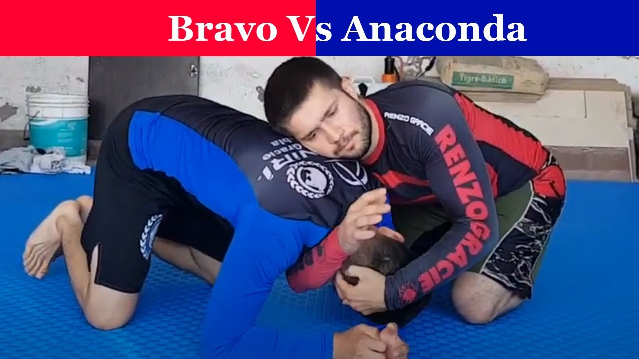 Cuál es la diferencia entre Bravo y Anaconda de jiu jitsu brasileño