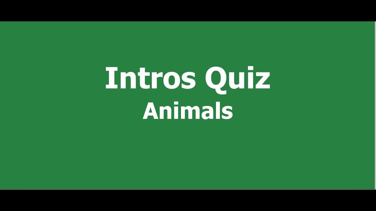 Intros Quiz - Animals
