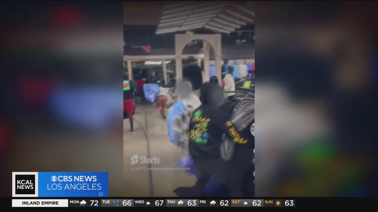 How Los Angeles police are fighting back against organized retail theft