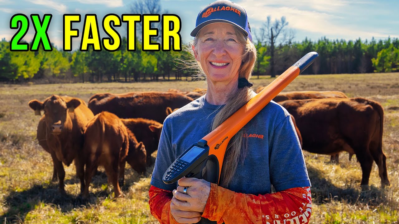 This Is A Game Changer For Cattle and Sheep Farmers