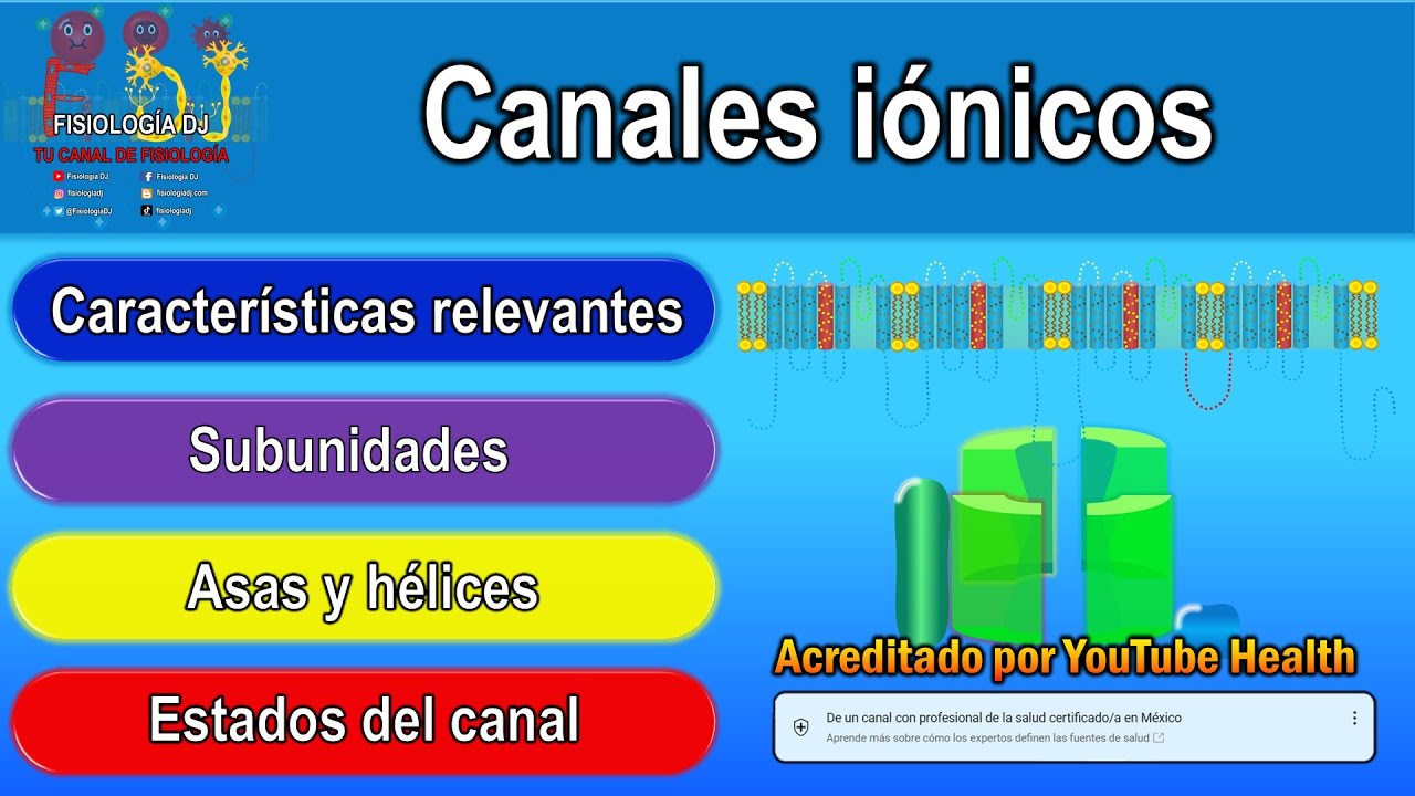 Canales iónicos | Canales iónicos estructura y función