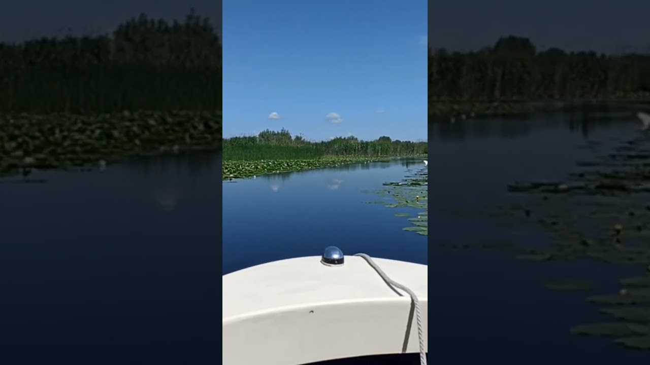 Danube Delta boat trip from Murighiol #boat #danubedelta