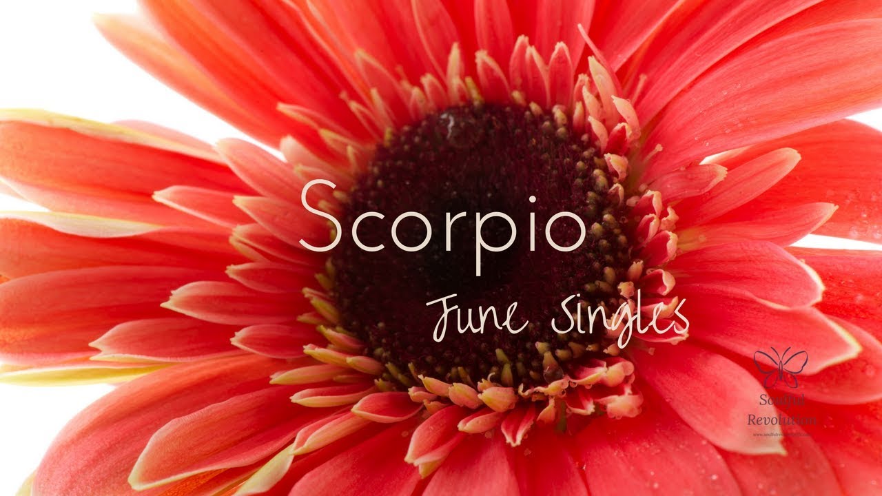 The Universe takes charge, SCORPIO. Singles Reading June 2018