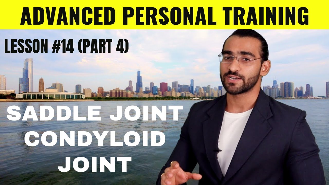 CONDYLOID JOINT || SADDLE JOINT