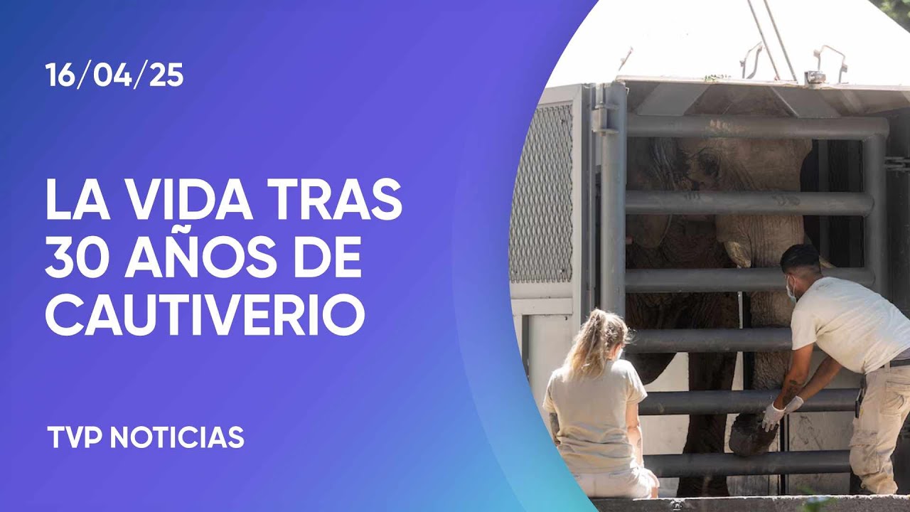 Pupy ya disfruta Brasil