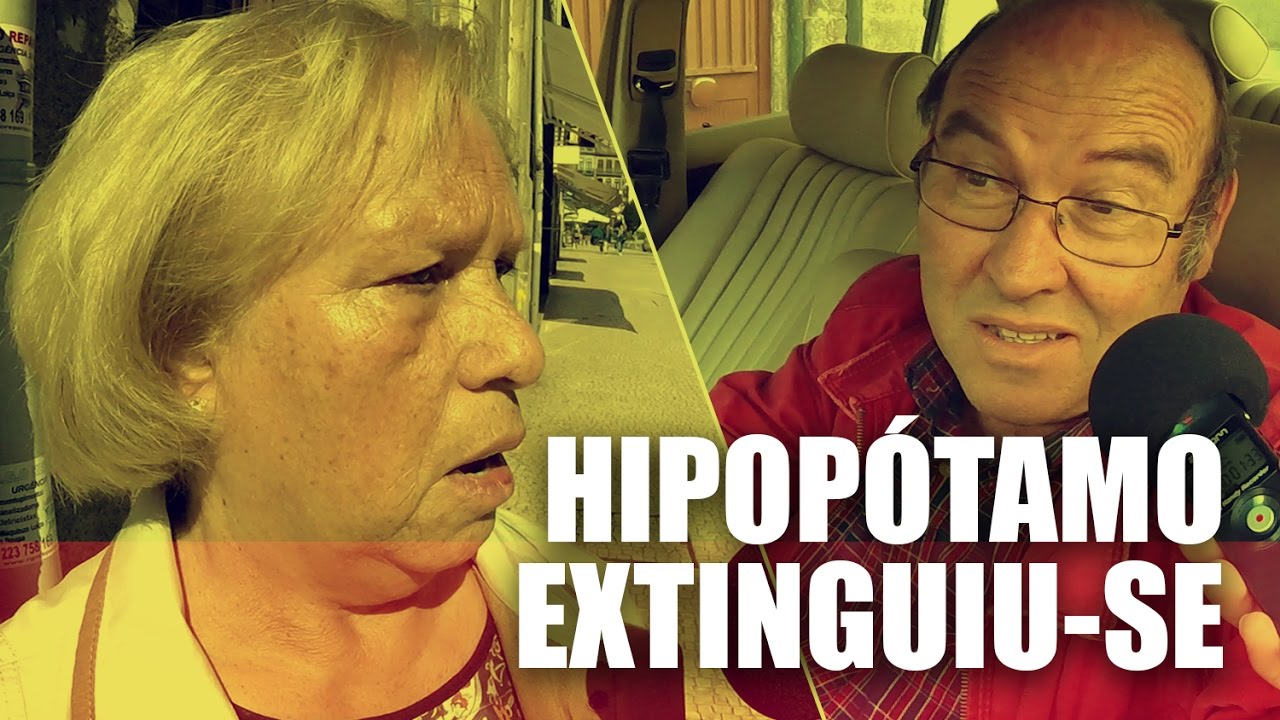 HIPOPÓTAMO EXTINGUIU-SE - COMUÉ QUE REAGE