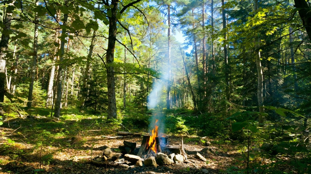 Daytime Forest Bonfire • Crackling Fire Sounds for Focus, Relaxation & Mindful Moments
