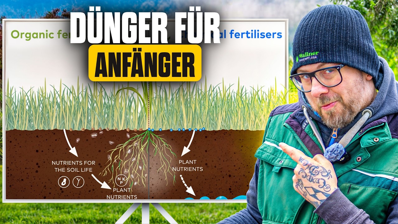 Rasendünger erklärt | Grundwissen für Anfänger | Rasenpflege im Frühling