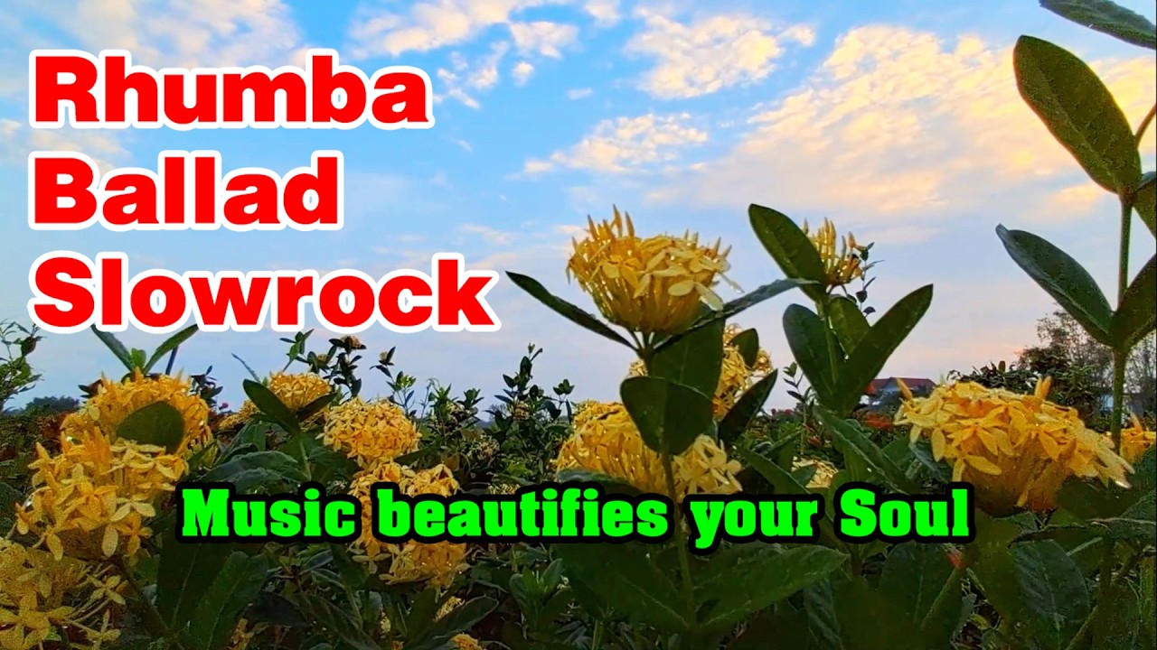 Rhumba  Ballad  Slowrock melody, Relaxing instrumental music beautify your soul vol 195