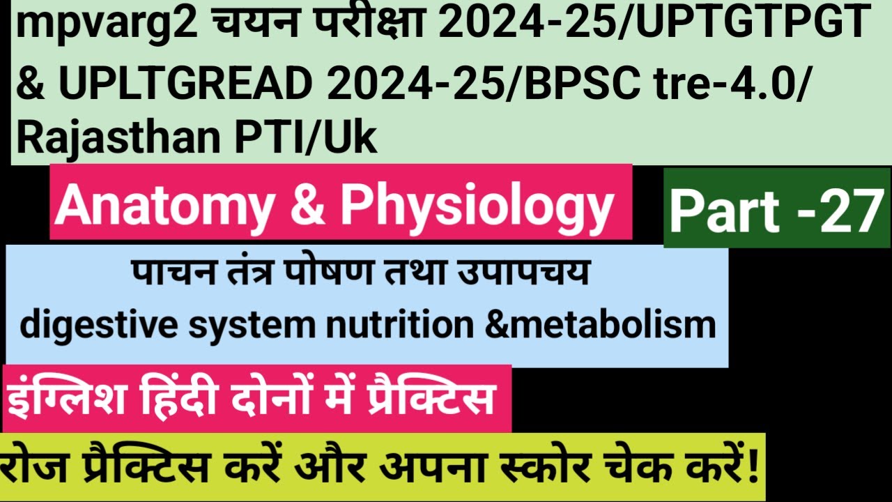 Anatomy&physiology in physical education MCQ/digestive system&nutrients/BPSC tre4.0/mpvarg2/UPTGTPGT