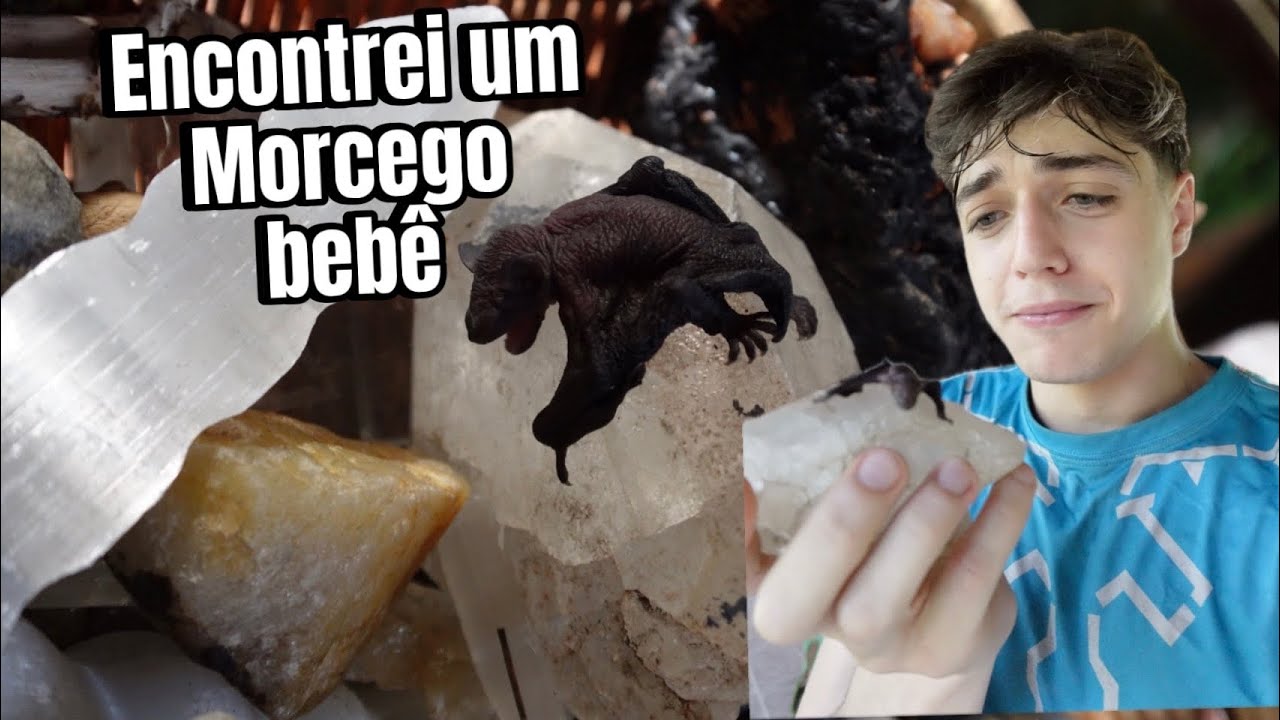 Lavando TODOS meus Cristais 🔮