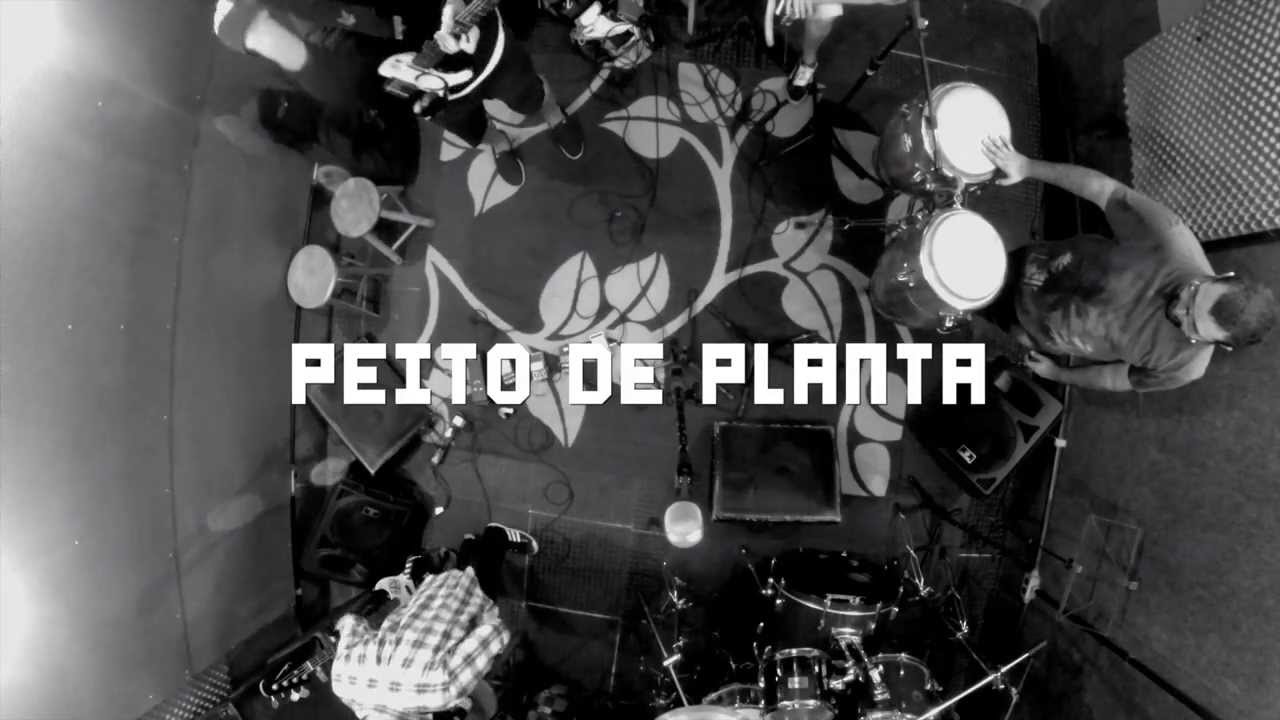 Peito de Planta - DONA MARINA (ao vivo)