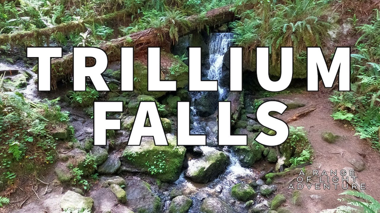 Trillium Falls- Redwood National Park- Northern California