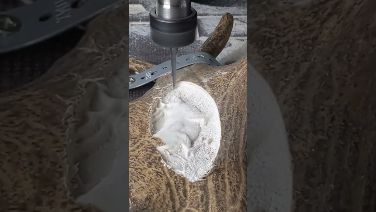 Deer Antler 3D Milling - CauCau CNC1 - CNC Router H1000GS