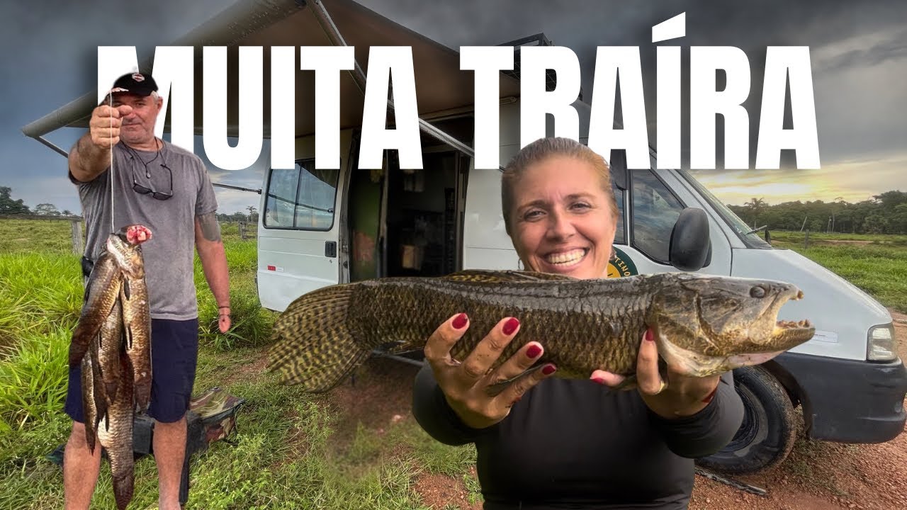 A PESCARIA FOI BOA! ACAMPAMENTO SELVAGEM COM MUITAS TRAÍRAS! T:02 EP#064 