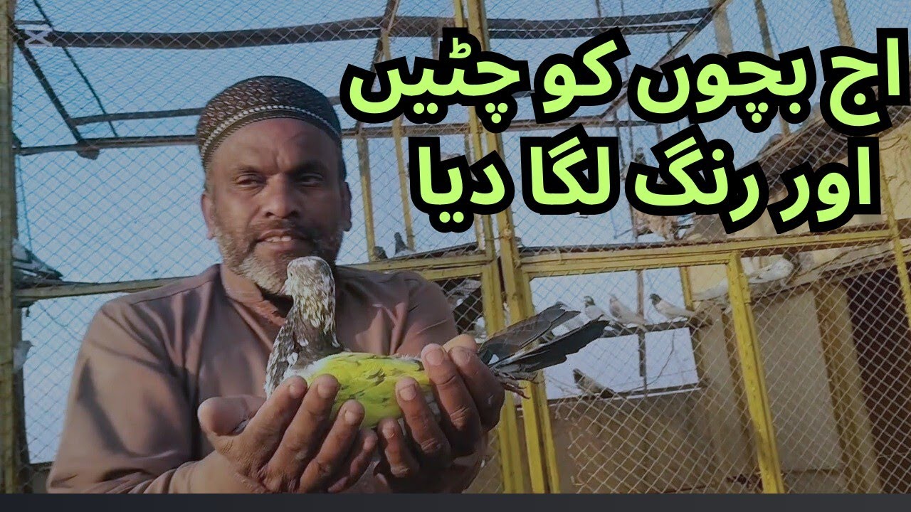 اج بچوں کو چٹیں اور رنگ لگا دیا 