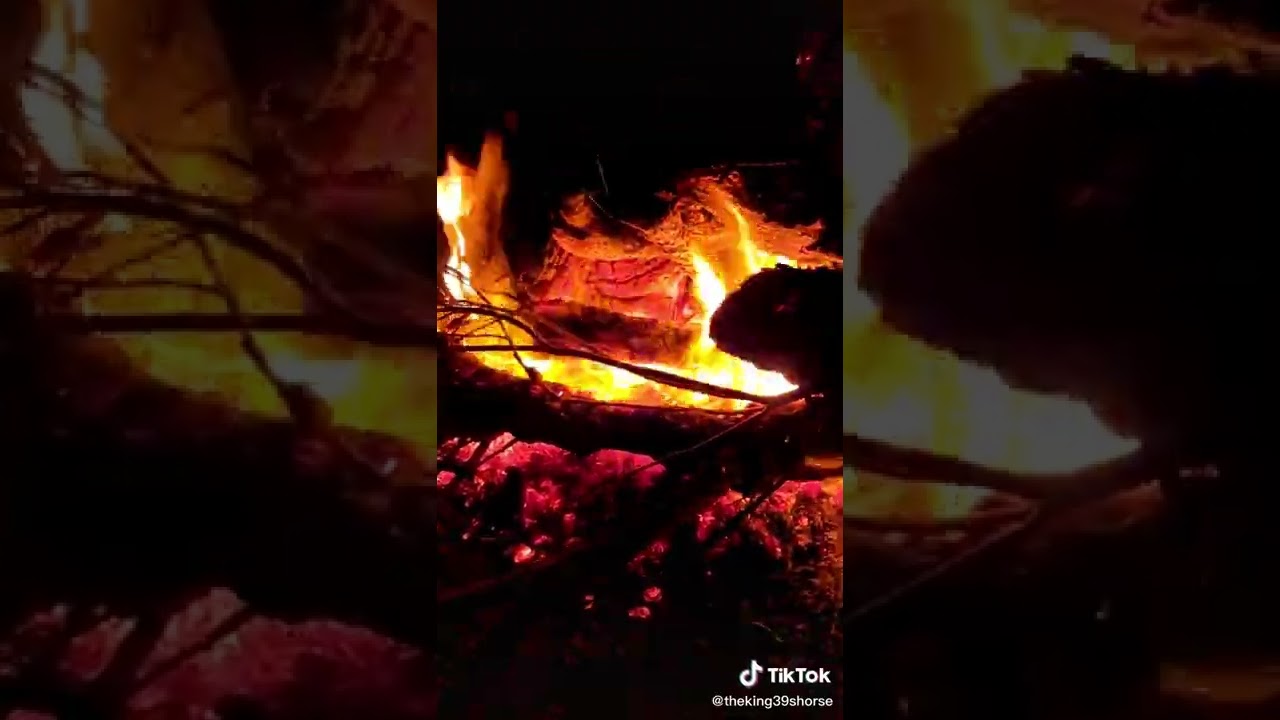 جواد الساعدي 2022