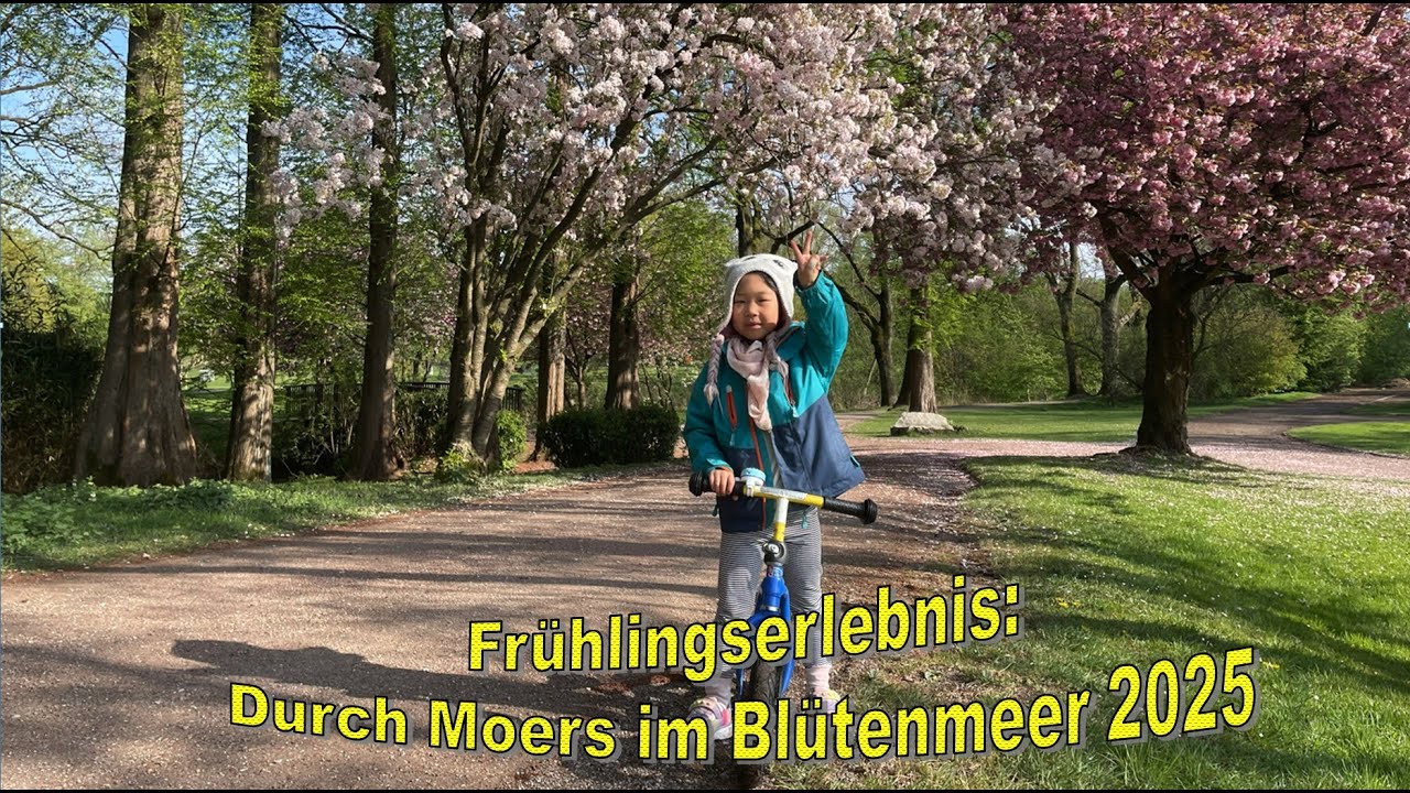 Frühlingserlebnis: Mit Bonny durch Moers im Blütenmeer 2025