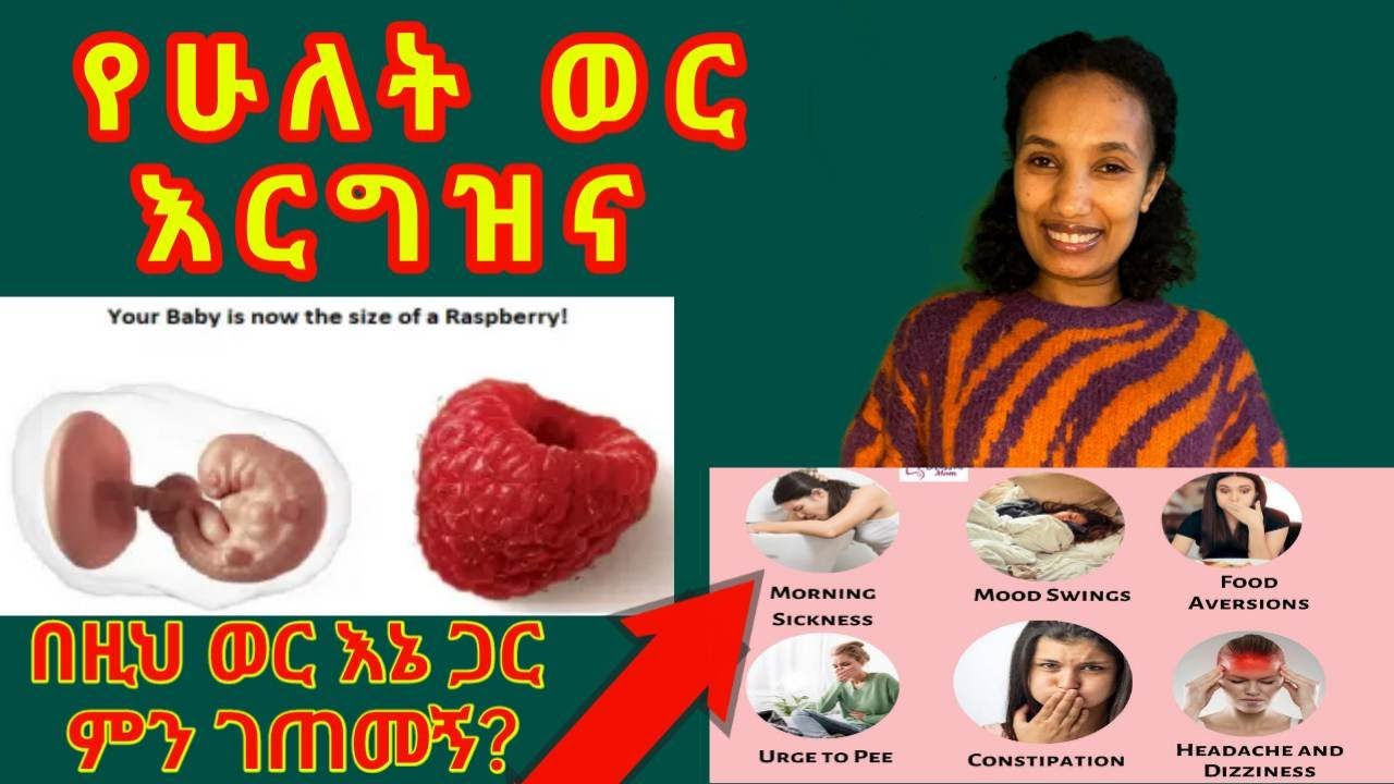 የሁለት ወር እርግዝና ምልክቶች /እኔ ጋር ምን አዲስ? /Two Months pregnancy​@seifuonebs @donkeytube.eshetumelese