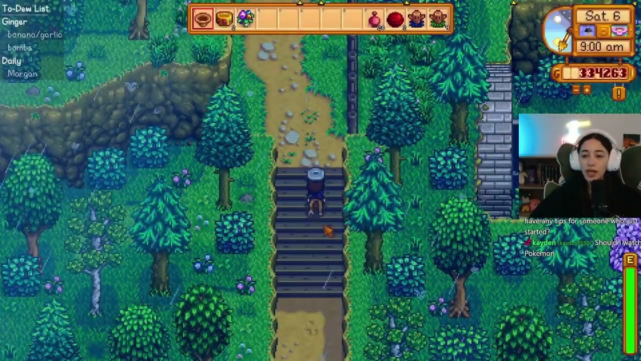 Stardew Valley - 1/08/26