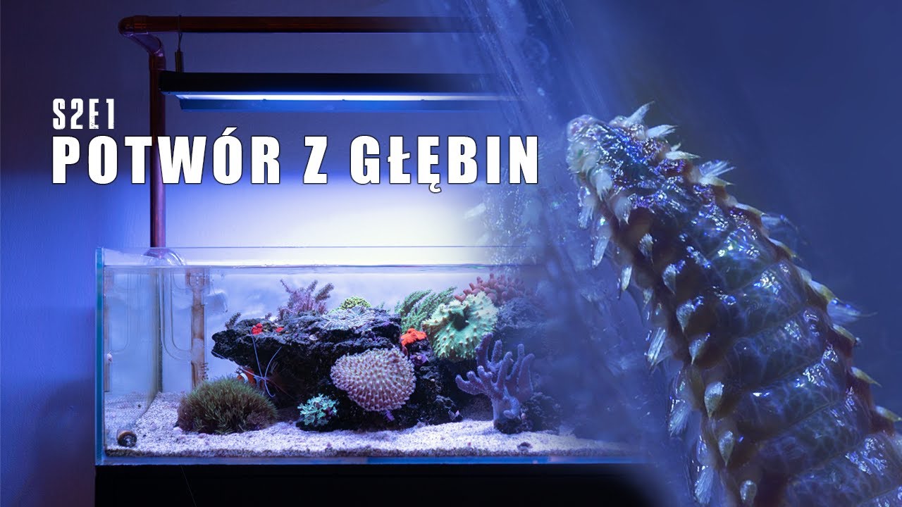 COKOLWIEK ROBISZ, NIE DOTYKAJ GO! - RAFA KORALOWA, S2E1