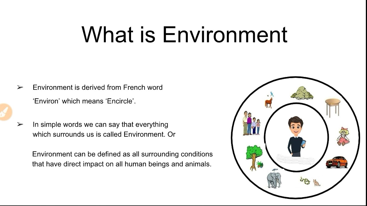 What is Environment And Its Components With MCQ's| Environmental Science| Edusquad