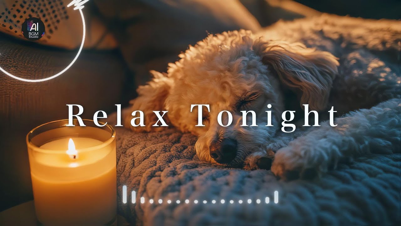 リラックス 洋楽｜疲れを癒す静かな夜のBGM。心を整える落ち着く洋楽プレイリスト