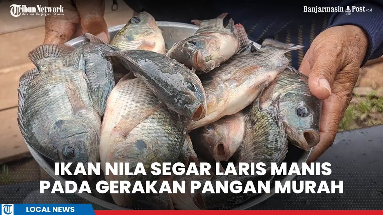 Ikan Nila Segar Laris Manis Terjual di Gerakan Pangan Murah Polres Tabalong