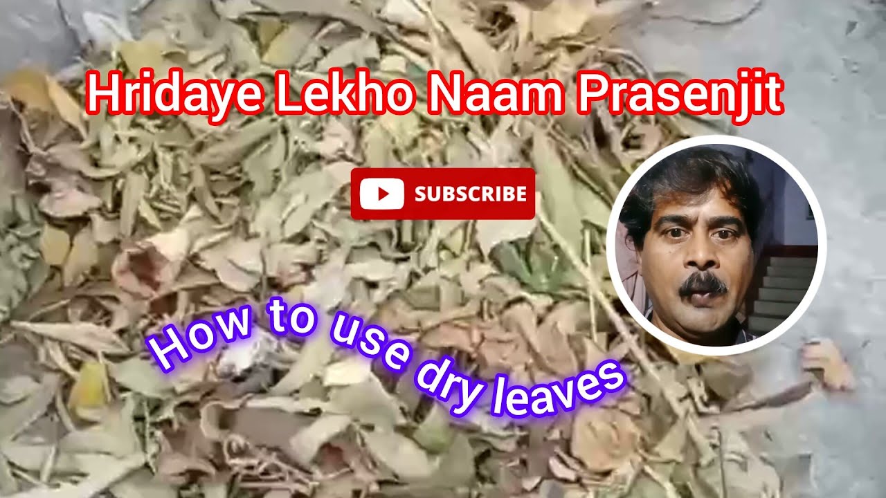 How to use dry leaves