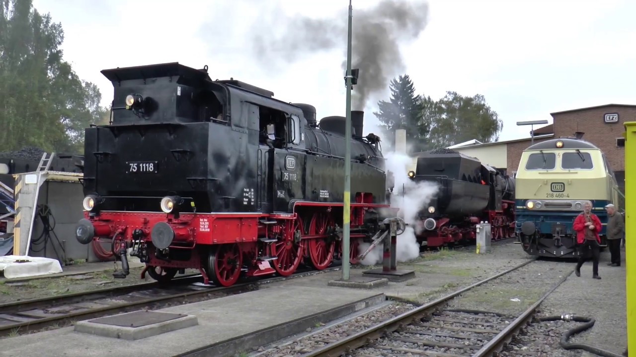 Rottweiler Dampftage 2017