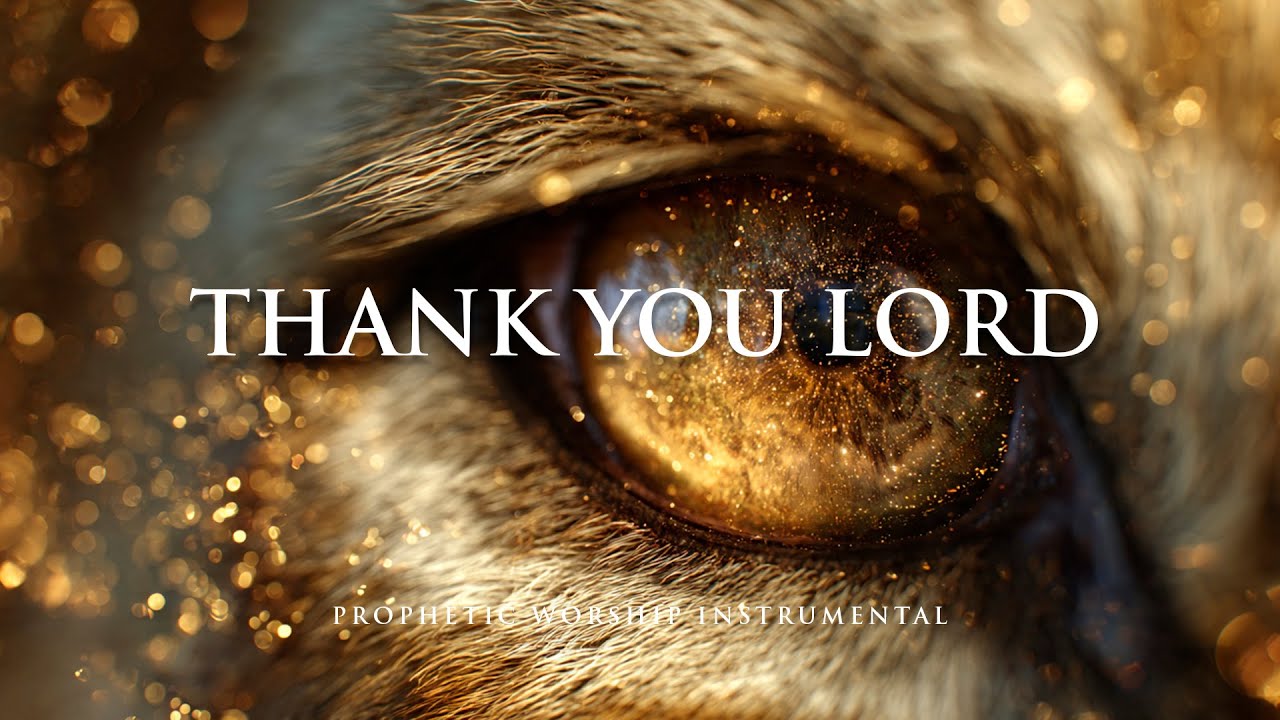 THANK YOU LORD | Prophetic Warfare Prayer Instrumental