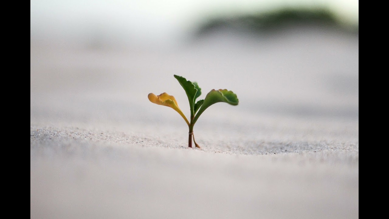 The Uncomfortable Work of Growth