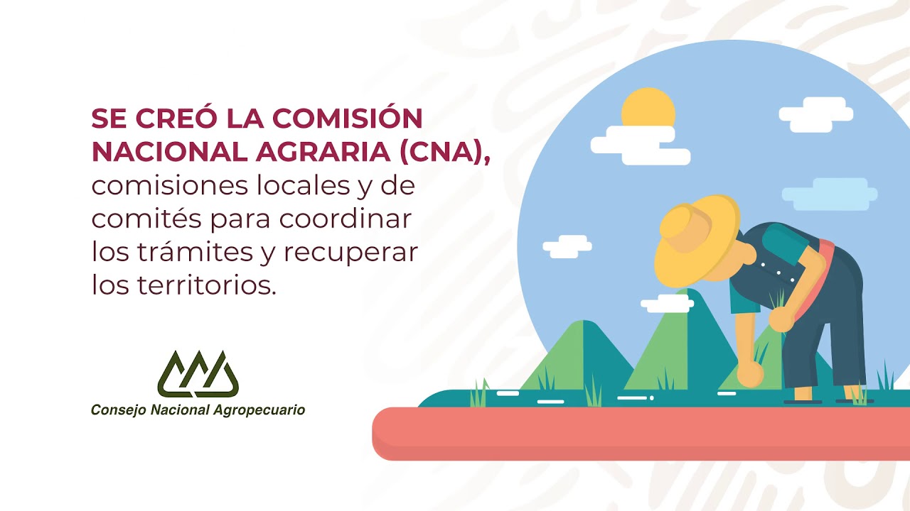 Conoce en qu&eacute; consiste la ley Agraria