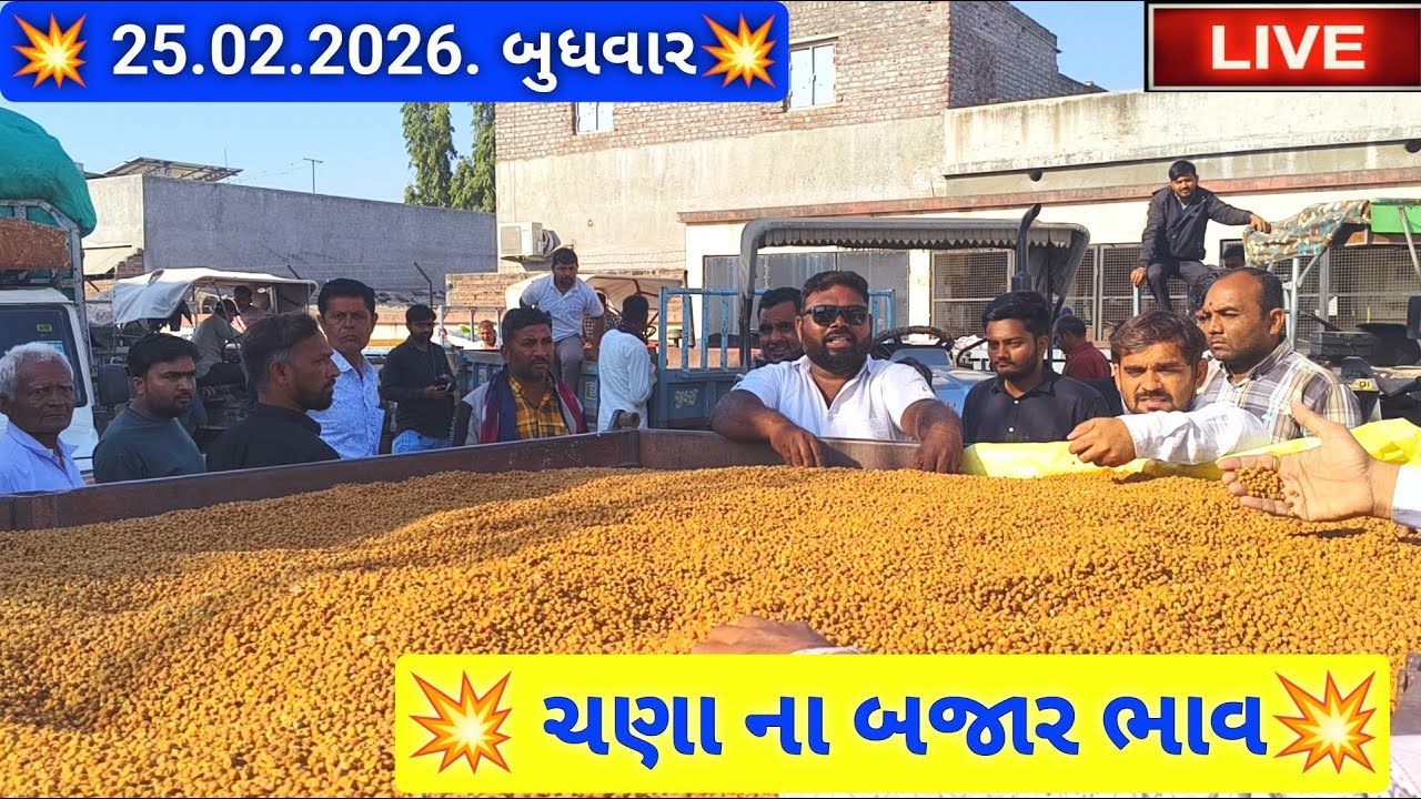 🔴live ચણા ના બજાર ભાવ આજના જસદણ માર્કેટિંગ યાર્ડ, chana price today,February 25, 2026