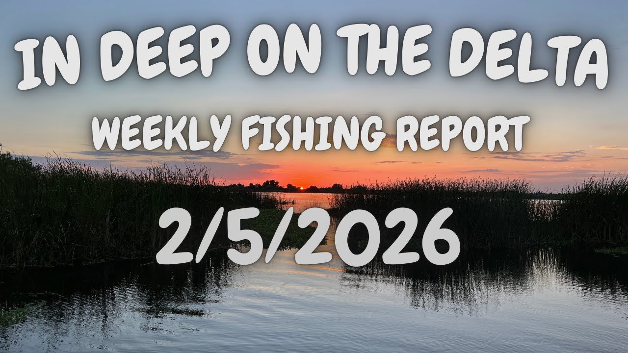 Еженедельный рыболовный отчет In Deep On The Delta за 05.02.2025.