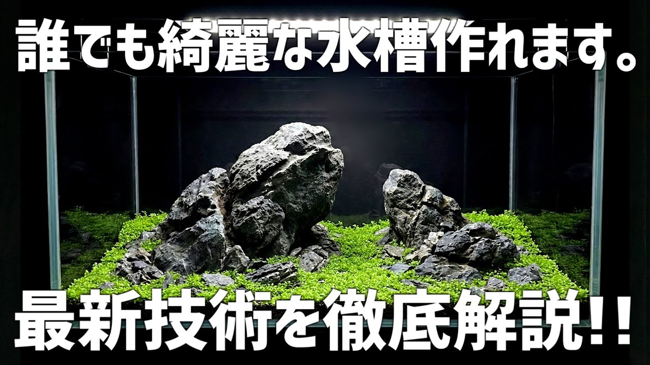 マジで革命起きてます。憧れの綺麗なレイアウト水槽を作るための方法を徹底解説！初心者から上級者まで超必見！#772【アクアリウム】