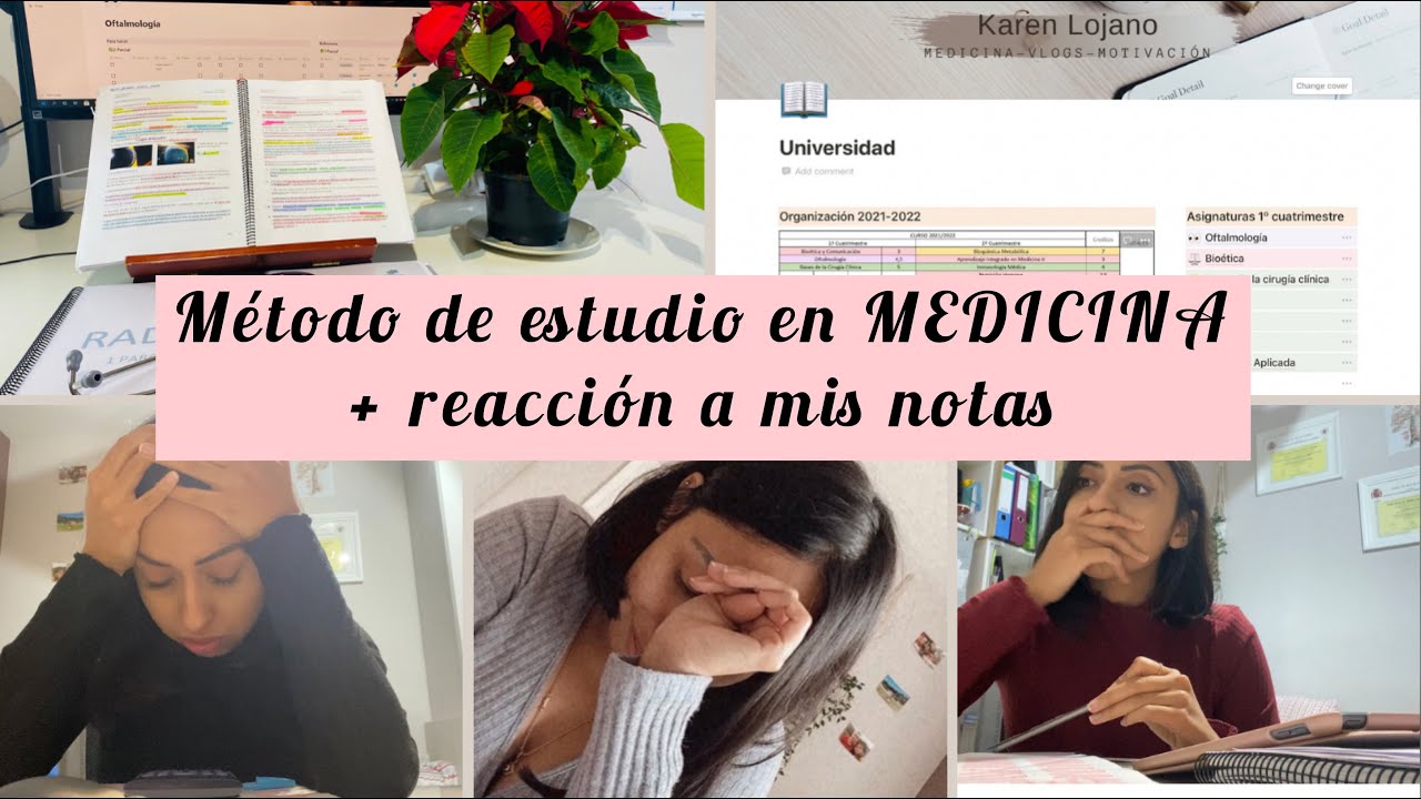 Método de estudio medicina (organización con Notion) + Notas ✨✨✨