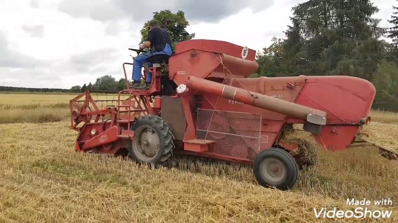 MF 31 Massey Ferguson Mähdrescher