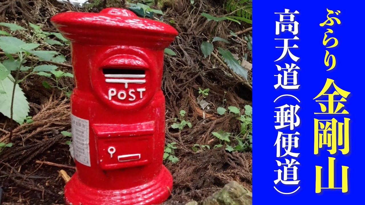 【金剛山】高天道（郵便道）を歩きました！（2023.6）