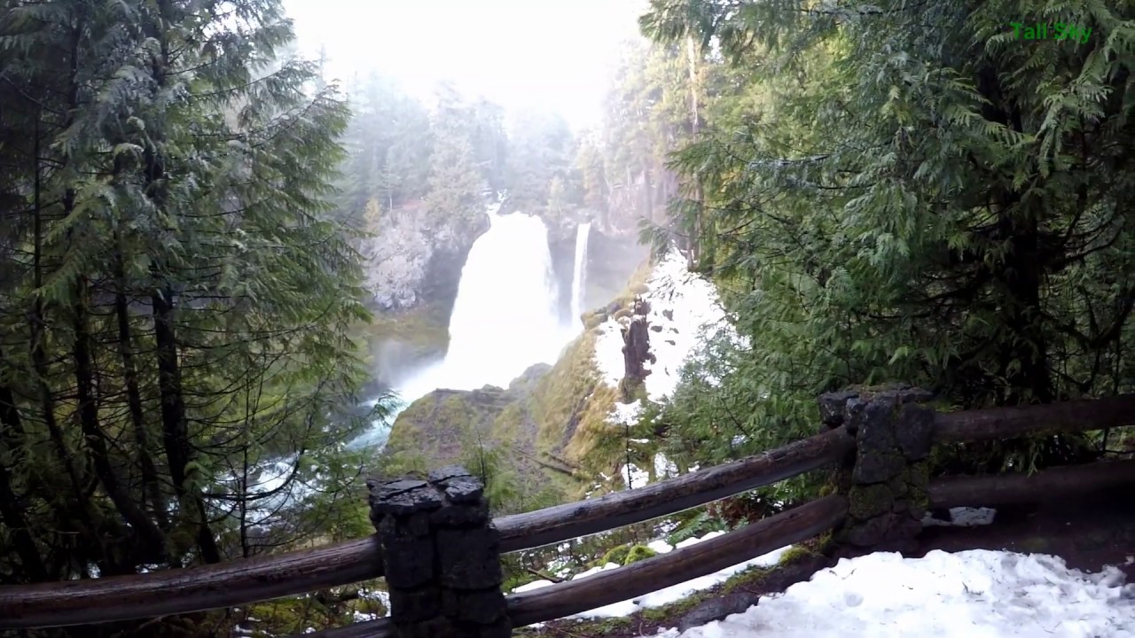 Forest Riverside Snow Walk - Koosah Falls to Sahalie Falls