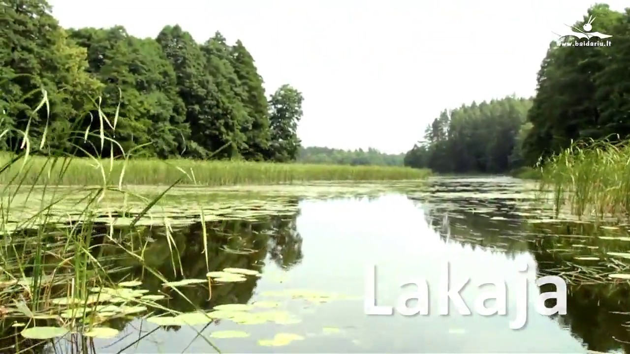 Lakaja