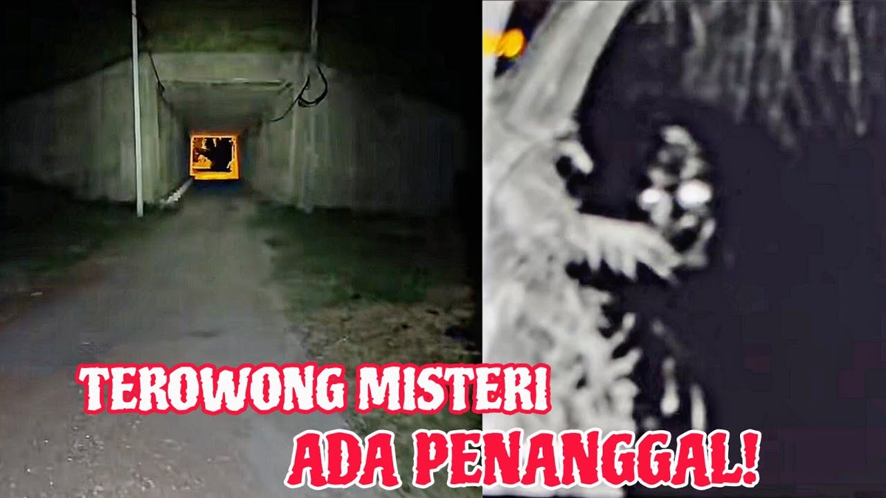 JELAS.. NAMPAK KEPALA TERC4BUT! PENANGGAL HUTAN SAWIT!?